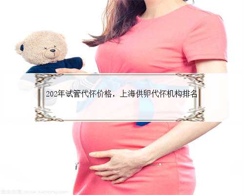 202年试管代怀价格，上海供卵代怀机构排名