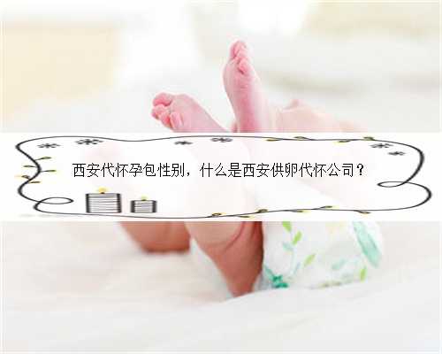 西安代怀孕包性别，什么是西安供卵代怀公司？
