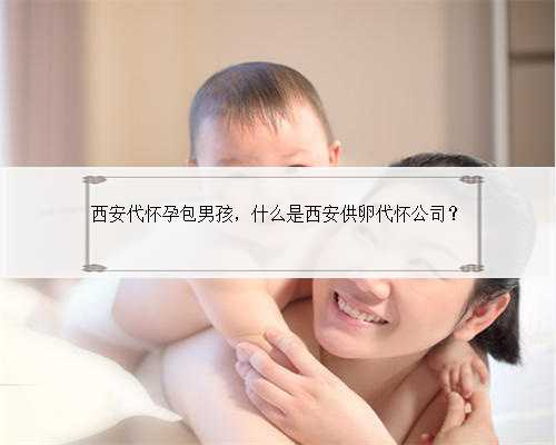 西安代怀孕包男孩，什么是西安供卵代怀公司？