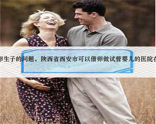 西安借卵生子的问题，陕西省西安市可以借卵做试管婴儿的医院在哪里？